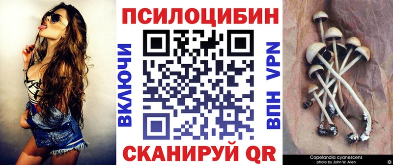 Псилоцибиновые грибы Cubensis kraken ССЫЛКА Пятигорск