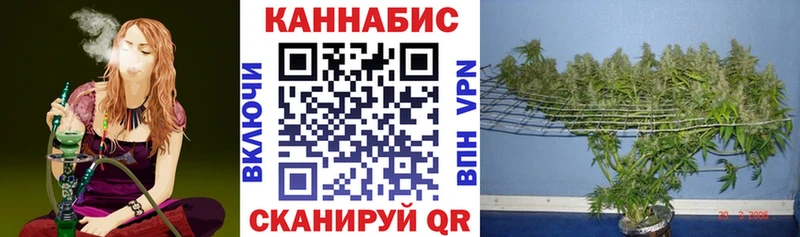 ОМГ ОМГ   даркнет сайт  Пятигорск  Марихуана семена 